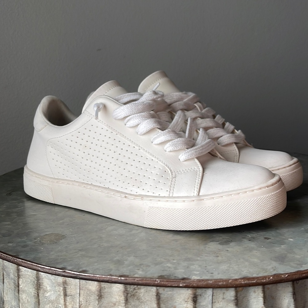 Steve Madden, white, stylish,fashion sneakers